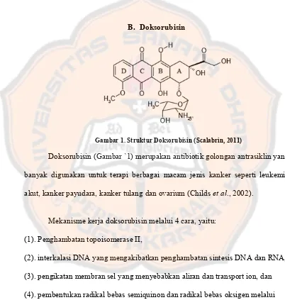 Gambar 1. Struktur Doksorubisin (Scalabrin, 2011) 