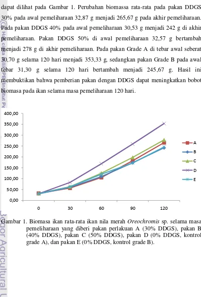 Gambar 1. Biomasa ikan rata-rata ikan nila merah Oreochromis sp. selama masa 