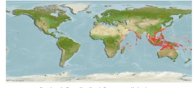 Gambar 3. Peta distribusi P. tayenus di dunia 