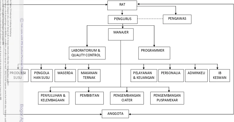 Gambar 4. Struktur Organisasi KPSBU 