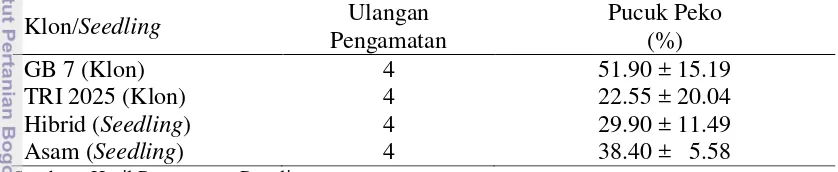 Tabel 4.  Kondisi Pucuk Berdasarkan Bahan Tanam di Unit Perkebunan Tambi 