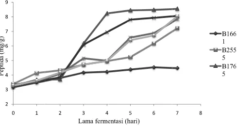 Gambar 1.  Perubahan jumlah peptida selama fermentasi “bekasam-like”  product dengan isolat BAL proteolitik bekasam