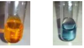 Gambar 4.2 Perubahan Warna Pada Oksidasi Etanol Dengan K2Cr2O7 