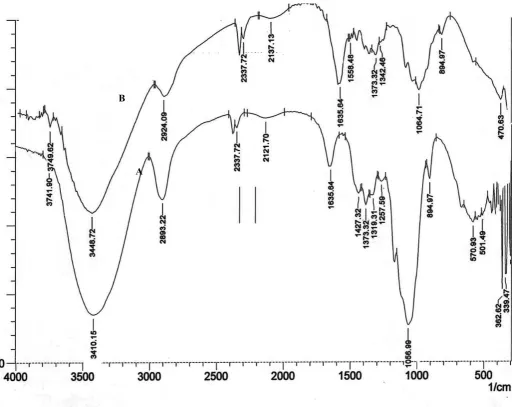 Gambar 8.  Spektra infra-red selulosa komersial (A) dan selulosa hasil ekstraksi dari pod husk kakao.