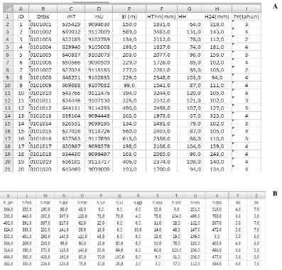 Gambar 3.  Contoh  format data di dalam Excel