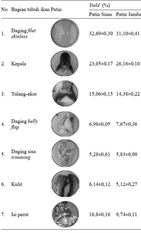 Gambar 1.  Ikan Patin (a) Siam (Pangasius hypopthalmus) dan (b) Jambal (Pangasius djambal)