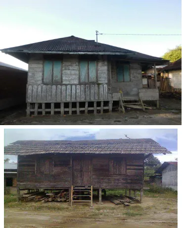 Gambar 11. Rumah tempat tinggal penduduk sebelum pertanian kopi (sumber : 