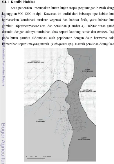 Gambar 4  Sketsa distribusi tipe habitat di Stasiun Penelitian YEL-SOCP. 