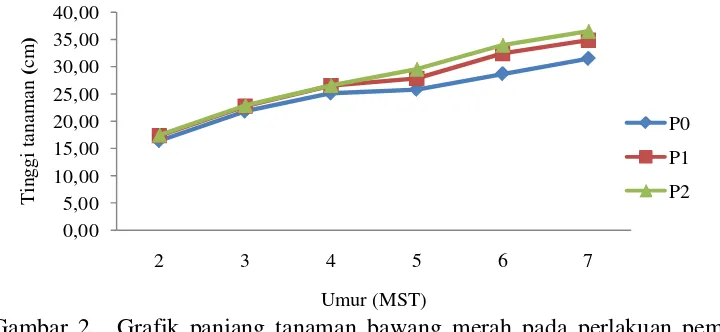 Gambar 1. Grafik panjang tanaman bawang merah pada perlakuan populasi tanaman yang berbeda umur 2 - 7 MST