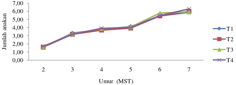 Gambar 5. Grafik jumlah anakan t anaman bawang merah pada perlakuan populasi tanaman yang berbeda pada umur 2 - 7 MST 