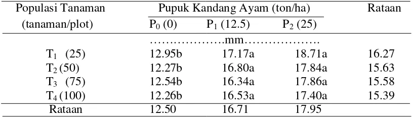 Tabel 8. Diameter umbitanaman bawang merah pada perlakuan populasi tanaman dan pemberian pukan ayam