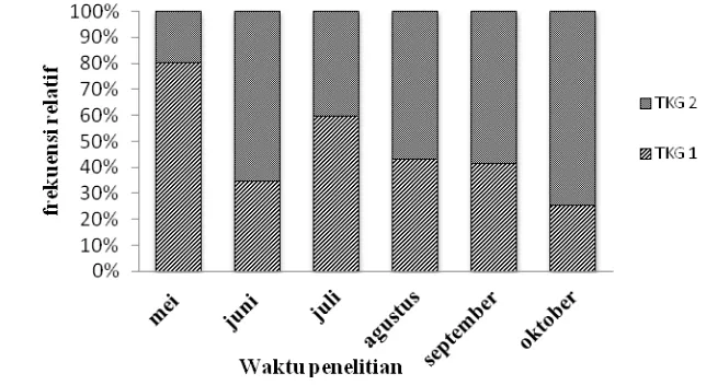 Gambar 9. Persentase tingkat kematangan gonad ikan kuro(Eleutheronema 