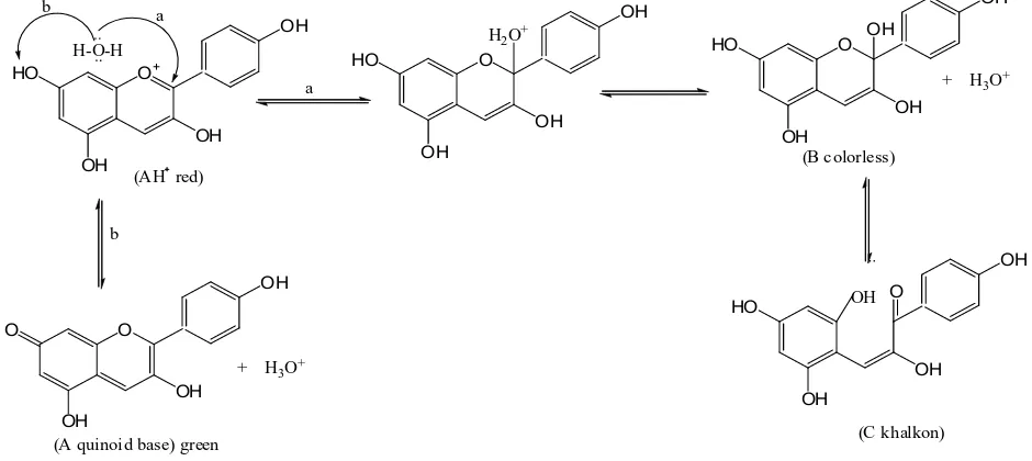 Figure 2. Equilibrium of Pelargonidin into quinoid (A), pseudobase carbinol (B) and chalcone (C)