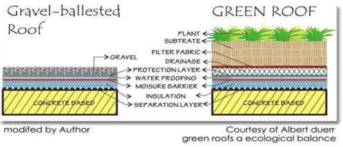 Gambar 12. Struktur tanaman pada atap bangunan 