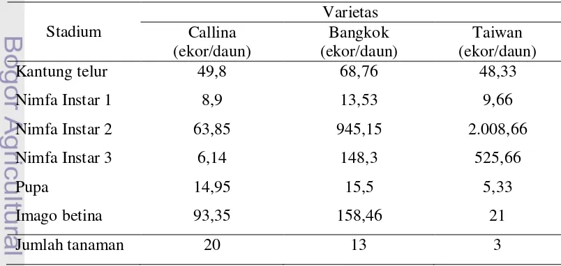 Tabel 6  Rata-rata populasi kutu putih pepaya pada varietas Callina, Bangkok, dan    