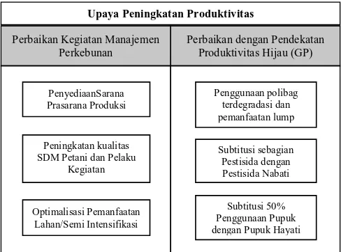 Gambar 5. Rancangan peningkatan produktivitas