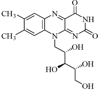 Gambar 2.1. Struktur Riboflavin 
