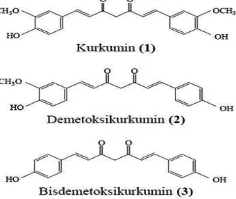 Gambar 1. Struktur kurkuminoid (Majeed dkk., 1995)