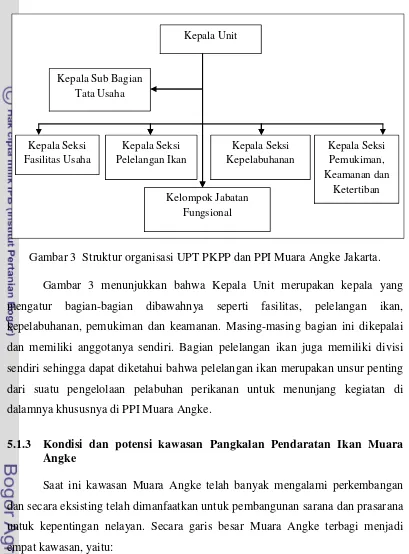 Gambar 3  Struktur organisasi UPT PKPP dan PPI Muara Angke Jakarta. 
