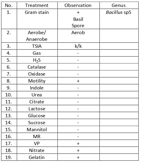 Table 8: Characteristics of endophytic bacteria isolated with B-U2 code 