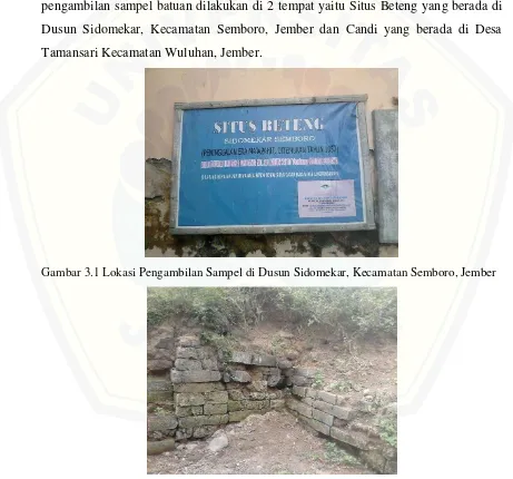 Gambar 3.1 Lokasi Pengambilan Sampel di Dusun Sidomekar, Kecamatan Semboro, Jember 