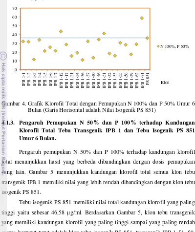 Gambar 4. Grafik Klorofil Total dengan Pemupukan N 100% dan P 50% Umur 6 