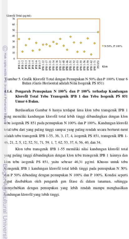 Gambar 5. Grafik Klorofil Total dengan Pemupukan N 50% dan P 100% Umur 6 
