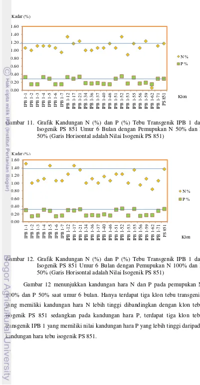 Gambar 11. Grafik Kandungan N (%) dan P (%) Tebu Transgenik IPB 1 dan 
