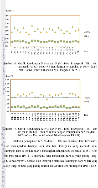 Gambar 16. Grafik Kandungan N (%) dan P (%) Tebu Transgenik IPB 1 dan 