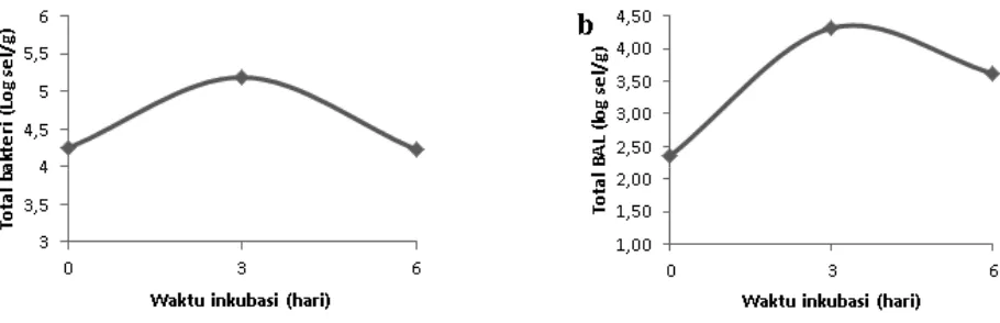 Gambar 1. Pertumbuhan bakteri total (a) dan total bakteri asam laktat (BAL) (b) selama fermentasi pod kakao oleh inokulum SBP®
