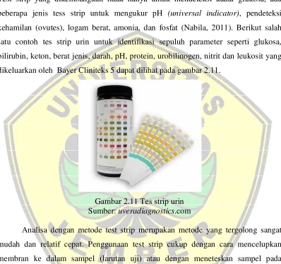 Gambar 2.11 Tes strip urin 
