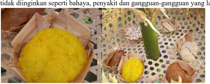 Gambar 11 nasi kuning dan nasi putih 