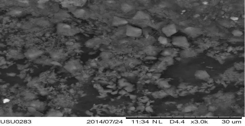 Gambar 4.3 Hasil Analisis Morfologi Nanokertas SB : 2 g SKJ dengan Perbesaran 3000 Kali  