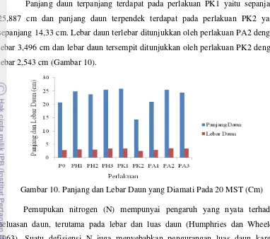 Gambar 10. Panjang dan Lebar Daun yang Diamati Pada 20 MST (Cm) 