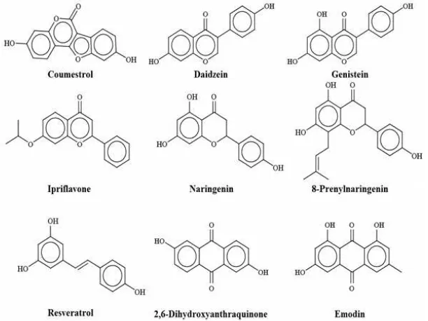 Figure 1. Stuctures (in two-dimensional format converted from the SMILES format) of some phytoestrogens (Table V)