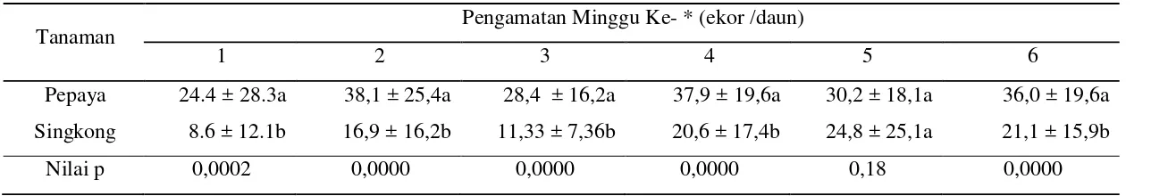 Tabel 1  Kelimpahan populasi  P. margiatus  di Rancabungur dan di Bubulak  
