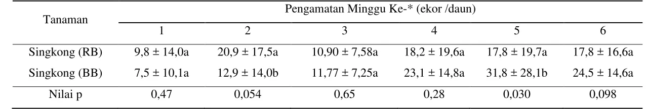 Tabel 3  Kelimpahan populasi P. marginatus pada tanaman pepaya di Rancabungur (RB) dan Bubulak (BB) 
