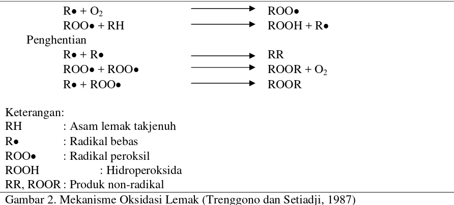 Gambar 2. Mekanisme Oksidasi Lemak (Trenggono dan Setiadji, 1987) 