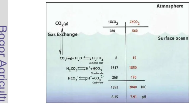 Gambar 4.  Sistem karbonat di laut (konsentrasi CO2 dalam satuan µmol/kg) 