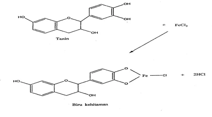 Gambar 4.8 Reaksi uji tanin dengan FeCl3 (Robinson, 1995). 