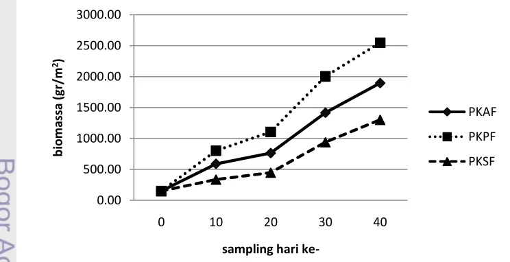 Gambar 3. Grafik Biomassa cacing sutra oligochaeta selama percobaan.  