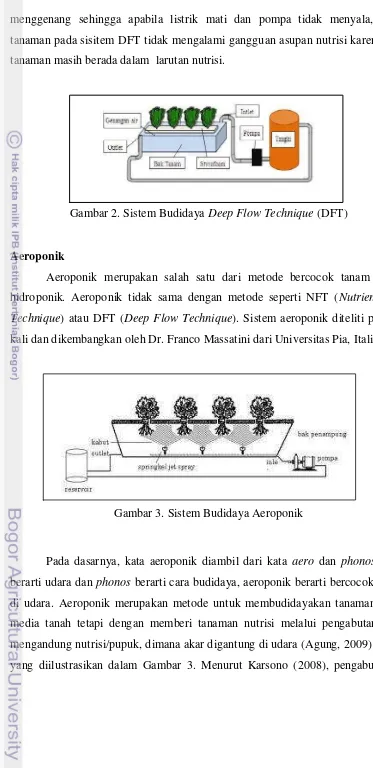 Gambar 2. Sistem Budidaya Deep Flow Technique (DFT) 