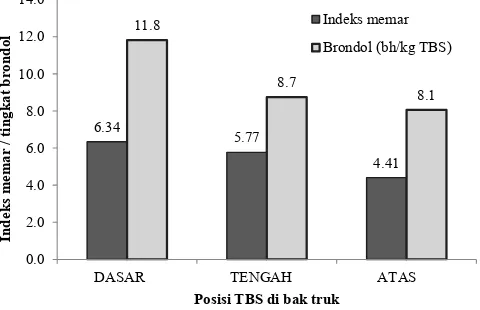 Gambar 4.  Indeks memar dan tingkat pelepasan buah (membrondol, buah/kg TBS) terhadap posisi TBS di dalam bak truk