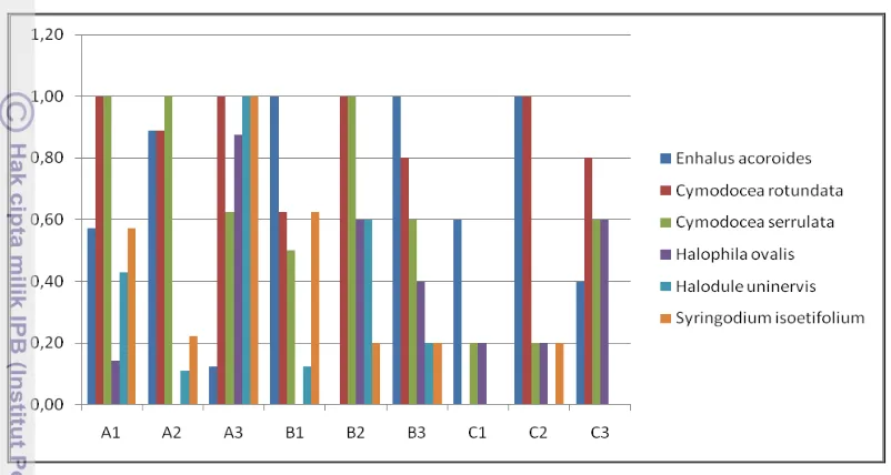 Gambar 6. Grafik nilai frekuensi spesies lamun di pantai Sanur 