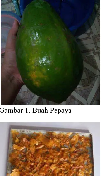 Gambar 4. Tepung Buah Pepaya     