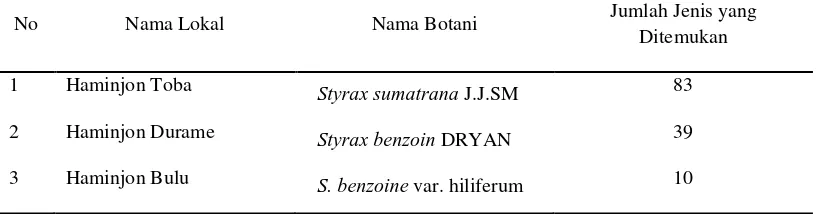Tabel 4. Jenis kemenyan yang ditemukan di Hutan Produksi, Hutan Batang Toru Blok Barat, Kecamatan Adiankoting 