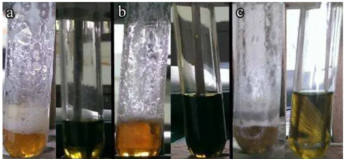 Gambar 15. Pengujian flavonoid dan fenolik (a) Toba (b) Durame (c) Bulu  