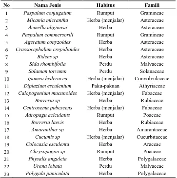Tabel 1. Data jumlah jenis, habitus, dan famili tumbuhan bawah 