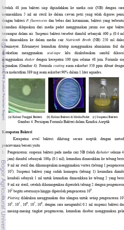 Gambar 4. Persiapan Formula Bakteri dalam Kondisi Aseptik 