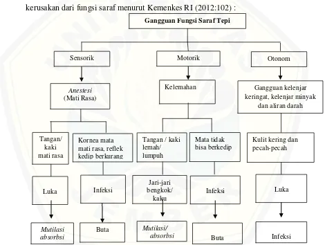 Gambar 2.1 Proses terjadinya kecacatan akibat kerusakan fungsi saraf (Kemenkes RI, 